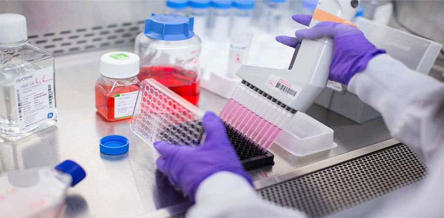 purple gloves emptying test tubes into a container