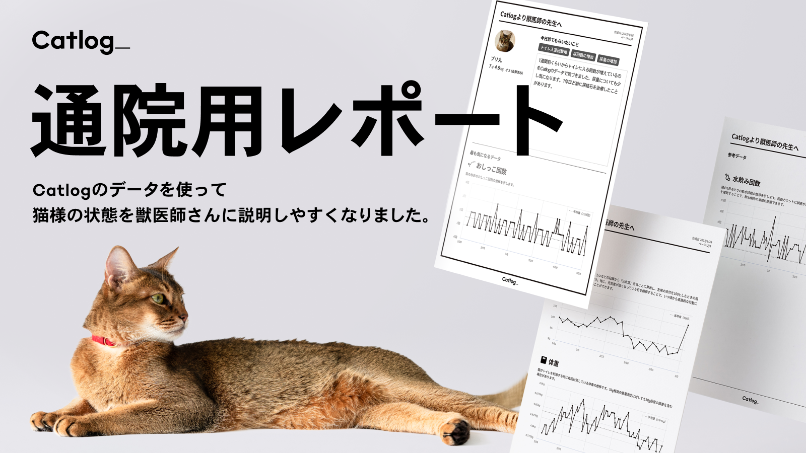 Catlog®︎で動物病院への通院時用のレポート作成機能が新登場。猫様の体調変化をキャッチ & 通院を安心サポート!獣医師さんへの説明がより簡単に、そして定量的で正確に。