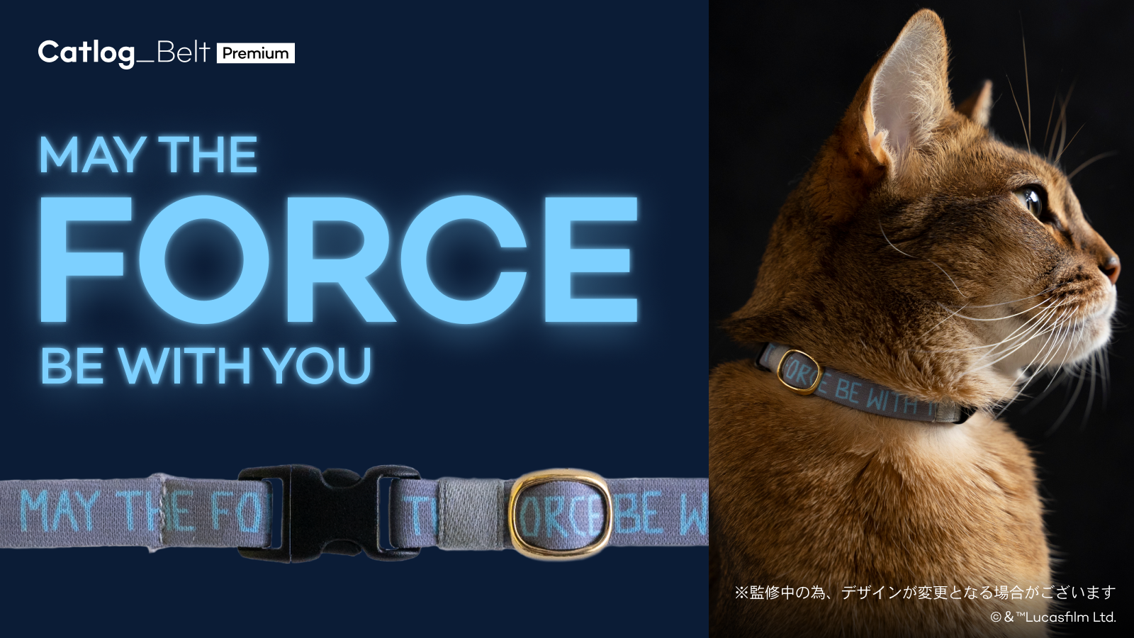 Catlog Belt Premium May the Force be with you