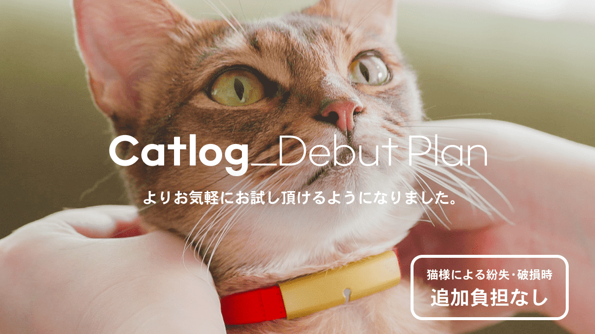 Catlogデビュープランが新しくなりました！580円でよりお気軽に首輪をお試し頂けます。