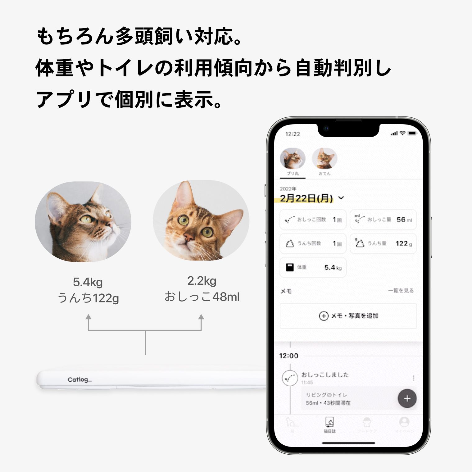 キャットログ ボード catlog board - 猫用品