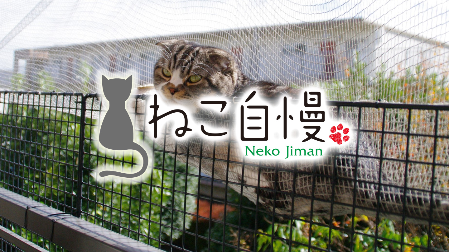 <ねこ自慢>おでんちゃんと代表の伊豫が出演しました!
