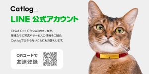 CatlogのLINE公式アカウントをオープンしました！