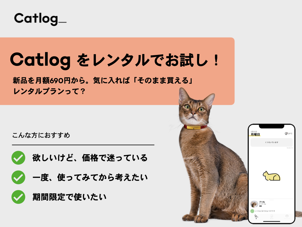 Catlogをレンタルでお試し！ 月690円から利用できて「そのまま購入」もOKなレンタルプランって？