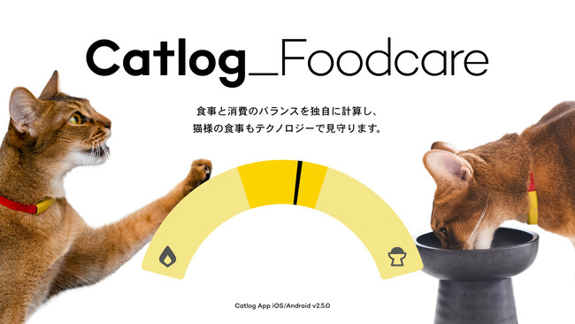 Catlog_Foodcare 食事と消費のバランスを独自に計算し、猫様の食事もテクノロジーで見守ります。 Catlog App iOS/Android v2.5.0