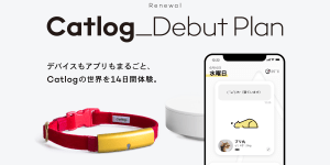 Catlogデビュープランで14日間のCatlog体験をしませんか?