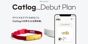 Catlogデビュープランで14日間のCatlog体験をしませんか？