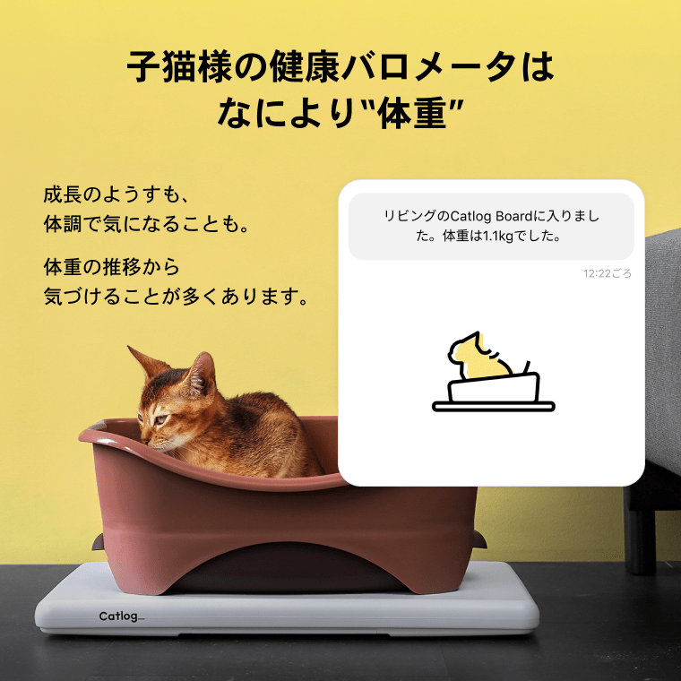 佳奈様専用ページ 【公式通販】 佳奈様専用ページ 【公式通販】