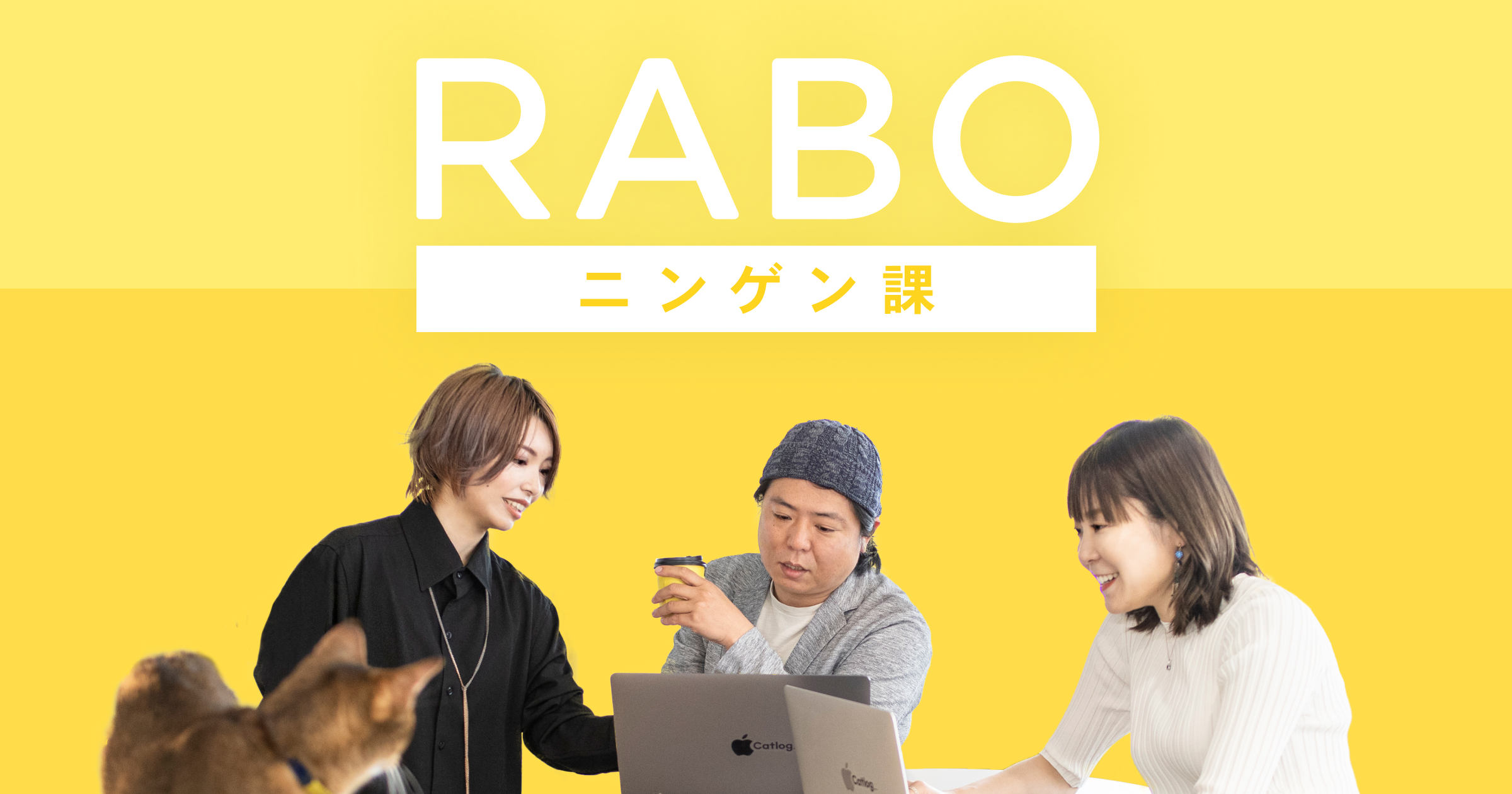 新しいオウンドメディア『RABOニンゲン課』を開設！RABOの猫様ではなくニンゲンにフォーカスした記事をお届け。第1回は代表伊豫へ、RABOのニンゲンと組織についてインタビュー
