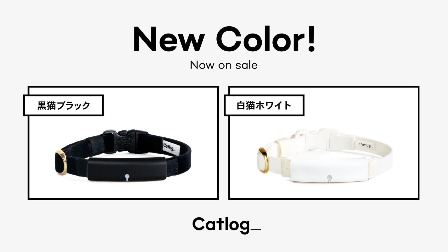 New Color! 黒猫ブラックと白猫ホワイト