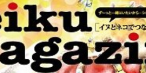 <Peiku Magazine>猫の生活をテクノロジーで見守る。首輪型ウェアラブルデバイス『Catlog』