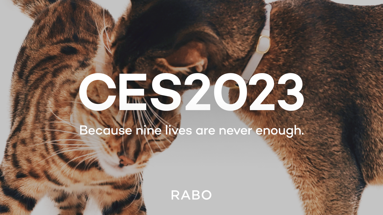 Catlog®(キャトログ)を展開するRABO、世界最大規模のテクノロジー見本市「CES 2023」へ出展