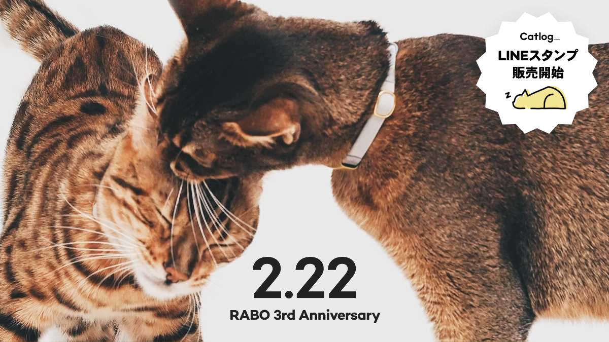 2.22 RABO 3rd Anniversary Catlog_ LINEスタンプ販売開始