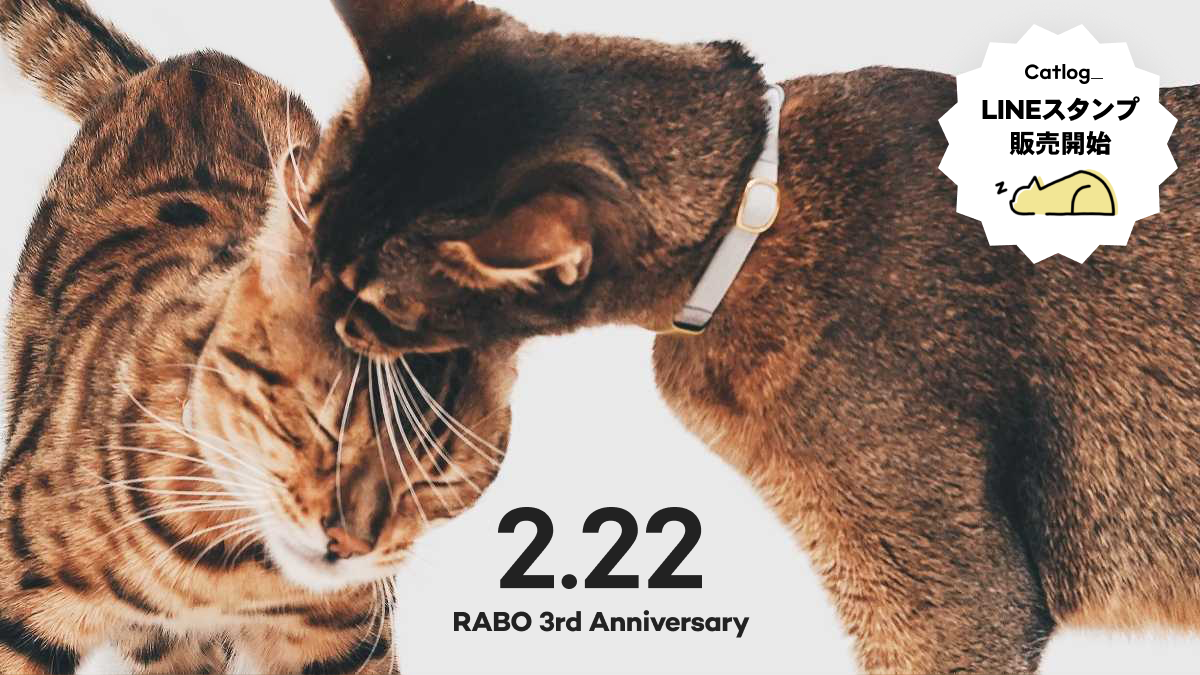 猫の日 & RABO創立3周年記念!Catlog LINEスタンプの発売を開始しました