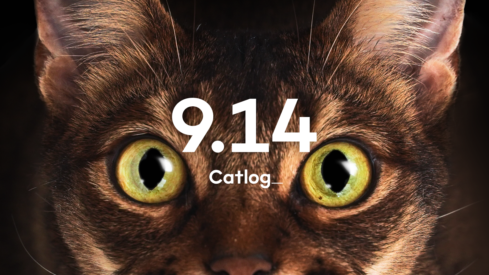 Catlog、2022年9月14日に大アップデート!デバイス価格を値下げ、猫様の気になる体調変化を察知する機能&メモ機能をリリース。月額料金体系を1匹1匹に寄り添う猫様メンバーシップへ。