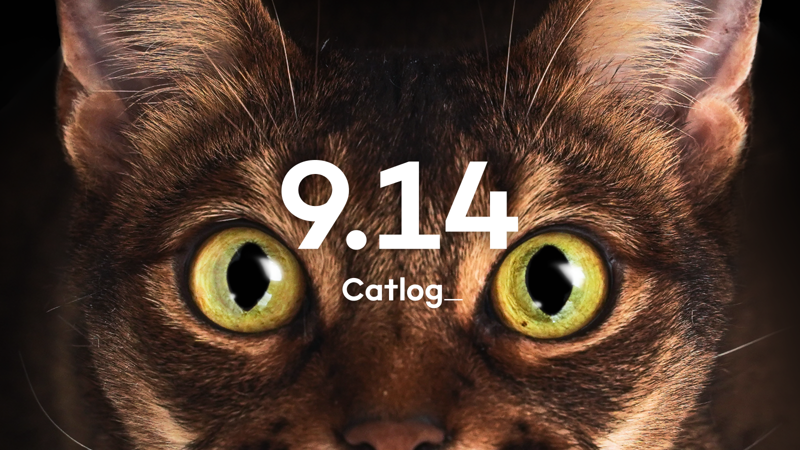 Catlog、２０２２年９月１４日に大アップデート！デバイス価格を値下げ、猫様の気になる体調変化を察知する機能＆メモ機能をリリース。月額料金体系を１匹１匹に寄り添う猫様メンバーシップへ。