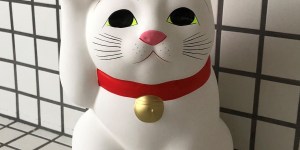 猫バイオロギングはどうやっているのか?