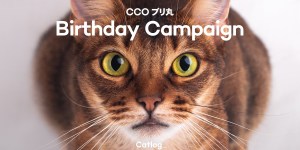 Happy Birthday CCO!🎂スペシャルクーポンプレゼントのお知らせ🐈