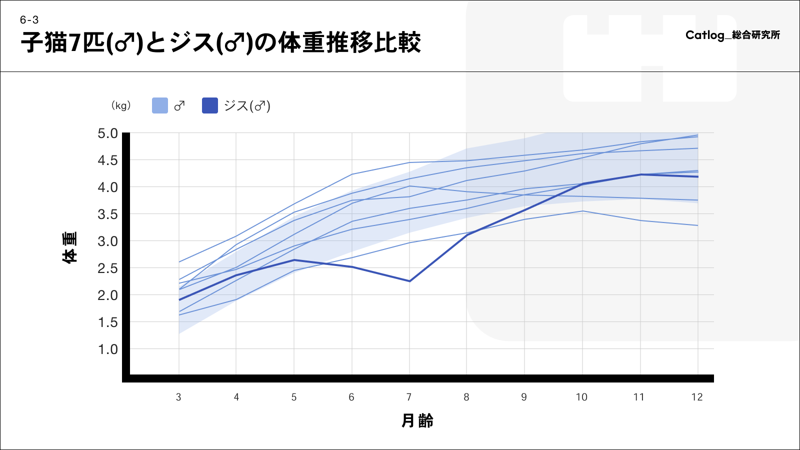 子猫7匹(♂)とジス(♂)の体重推移比較