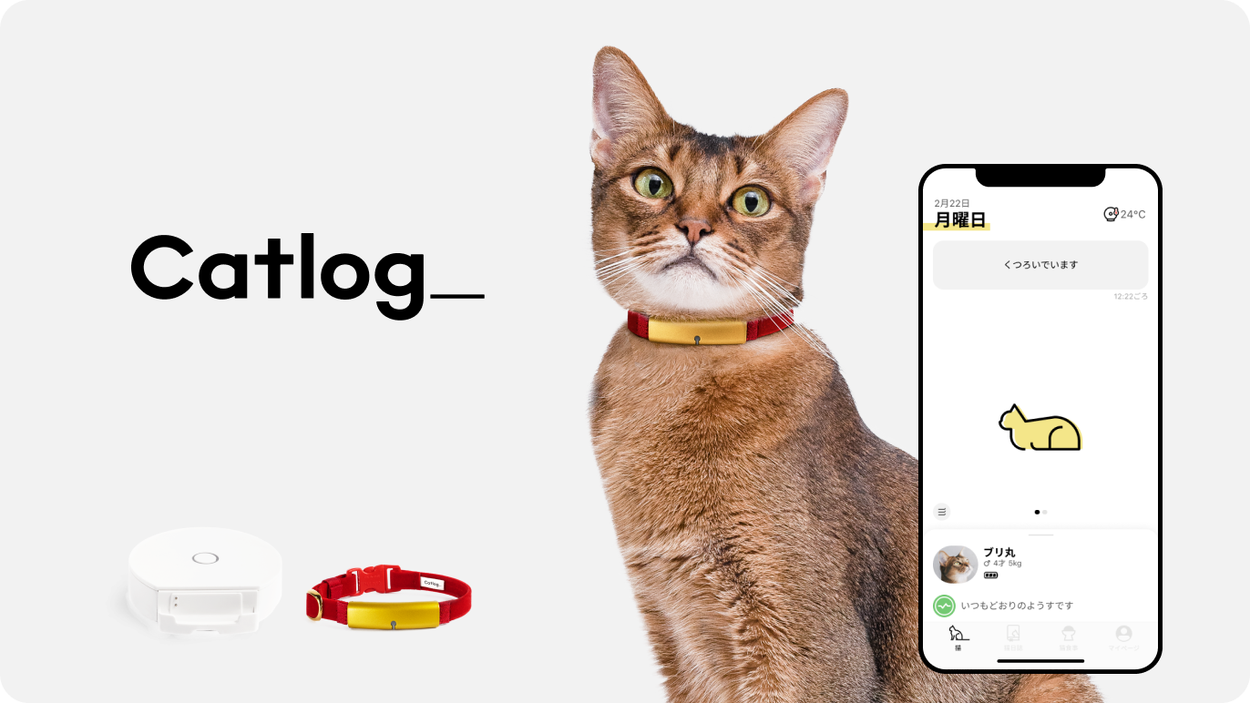 Catlog 基本セット