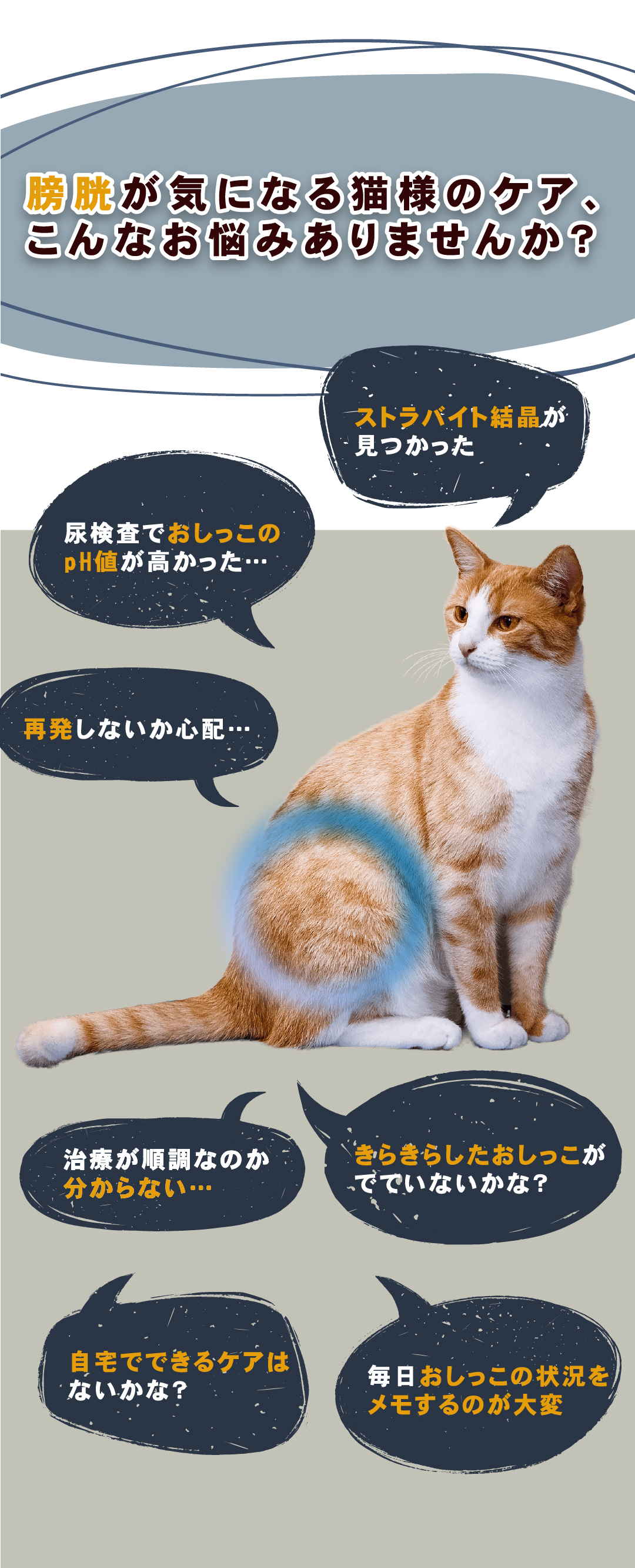 ー品販売 【新品】キャトログ ボード 猫 下部尿路 おしっこ管理 