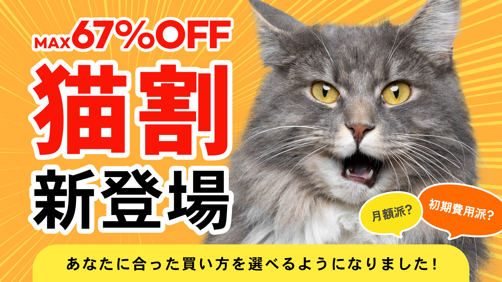 MAX67%OFF 猫割新登場！