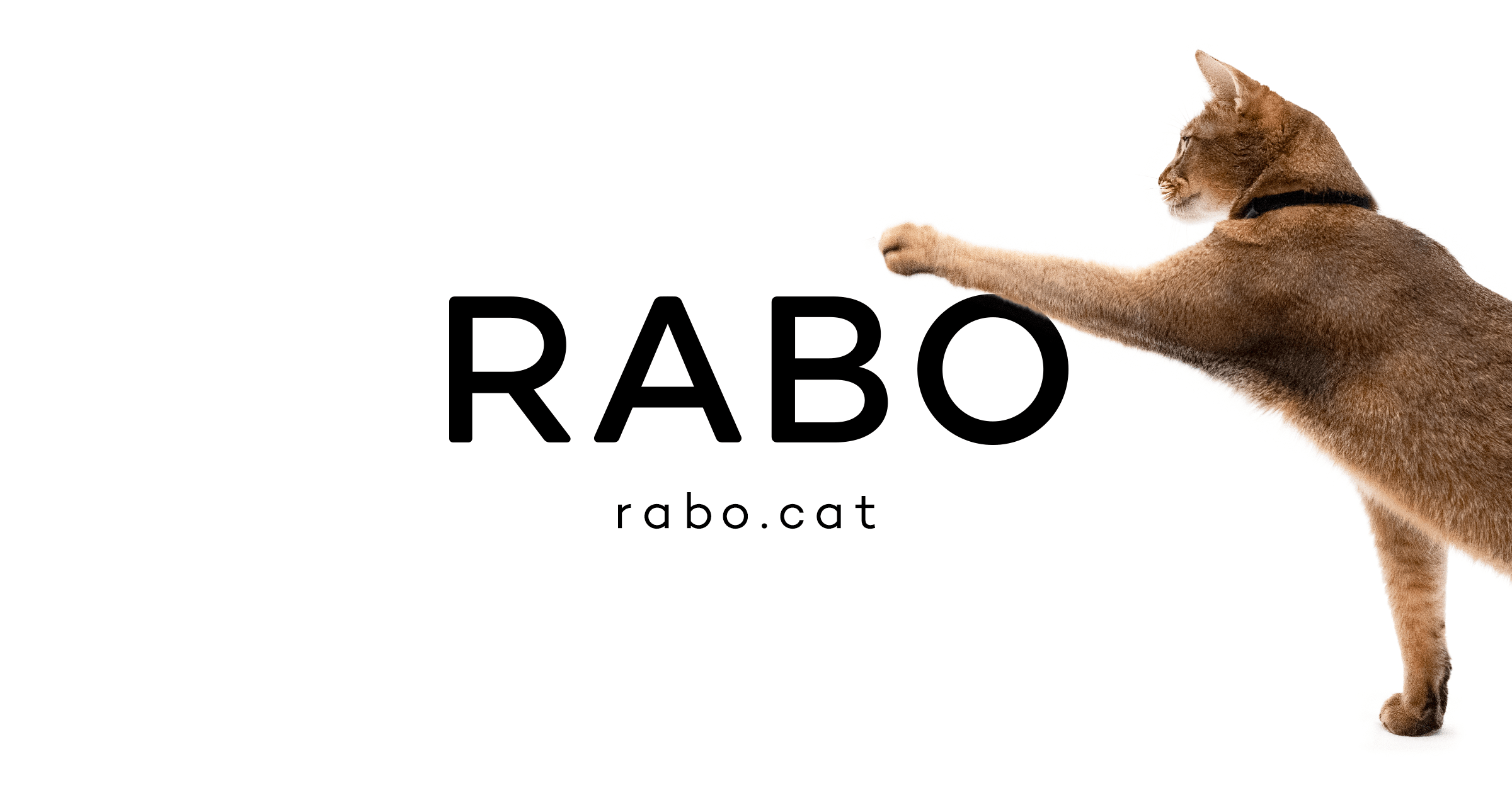 【注意喚起】 Catlog PC版アプリのダウンロードサイトにご注意ください