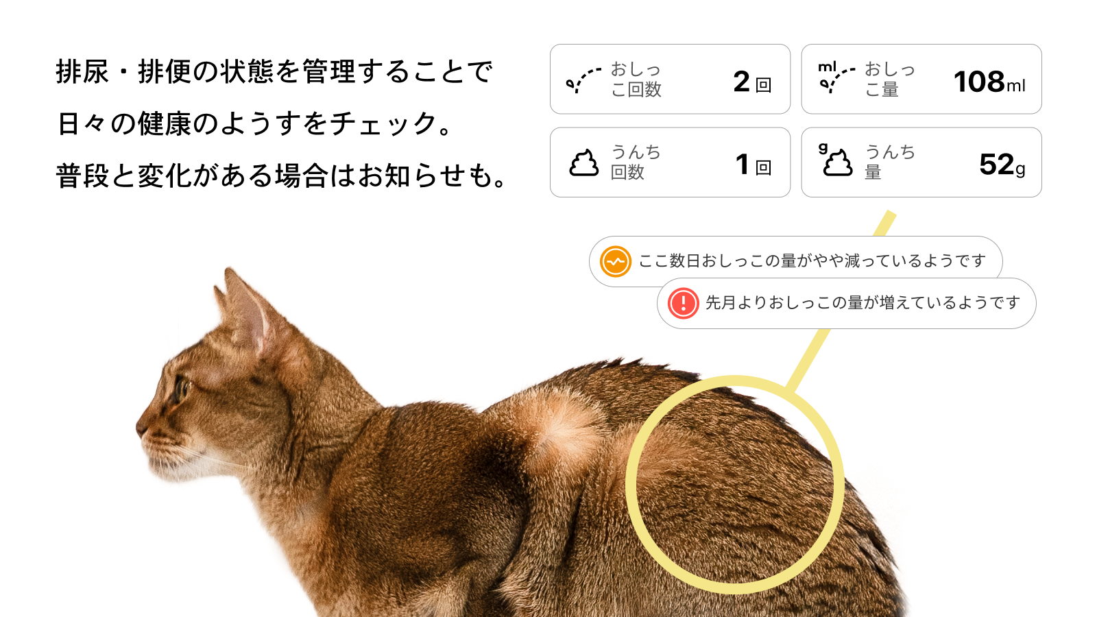 排尿・排便の状態を管理することで日々の健康のようすをチェック。普段と変化がある場合はお知らせも。