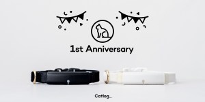 Catlog®(キャトログ)リリース1周年!約3億件の猫様の行動データを保有し、国内最大規模に。1周年を記念したPendant新色2色の予約販売も開始。