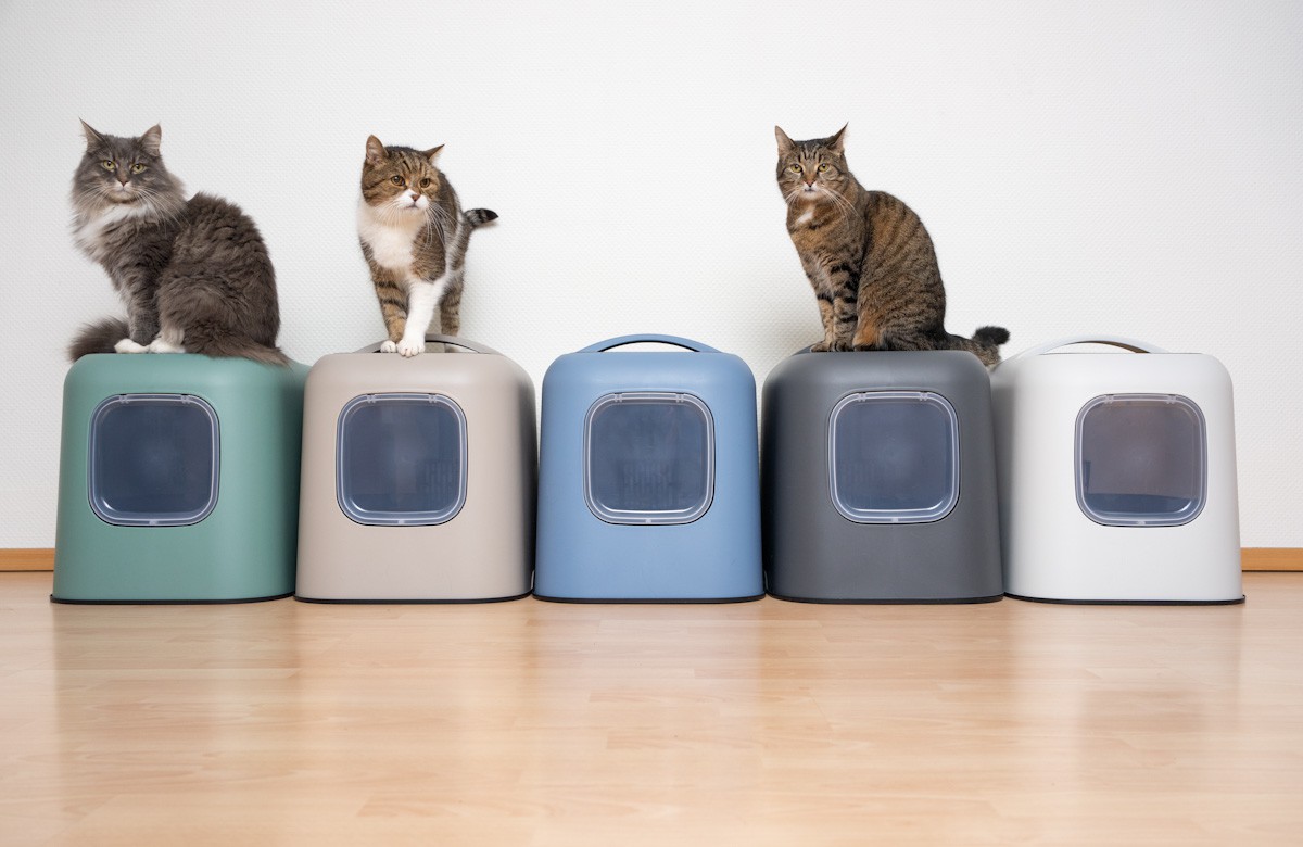 猫トイレの選び方