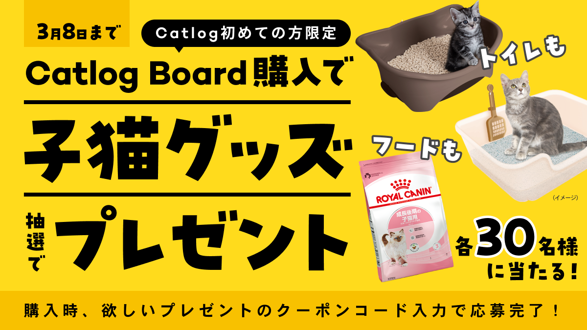 3月8日まで Catlog初めての方限定 Catlog Board購入で 子猫グッズ抽選でプレゼント 購入時、欲しいプレゼントのクーポンコード入力で応募完了！