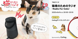 リスニャーは、猫様!Catlog(キャトログ)®が、8月9日(日)20時のTBSラジオ「猫様のためのラジオ〜Radio For Cats」のスポンサーに決定