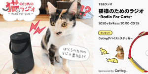 リスニャーは、猫様！Catlog（キャトログ）®が、8月9日（日）20時のTBSラジオ「猫様のためのラジオ〜Radio For Cats」のスポンサーに決定