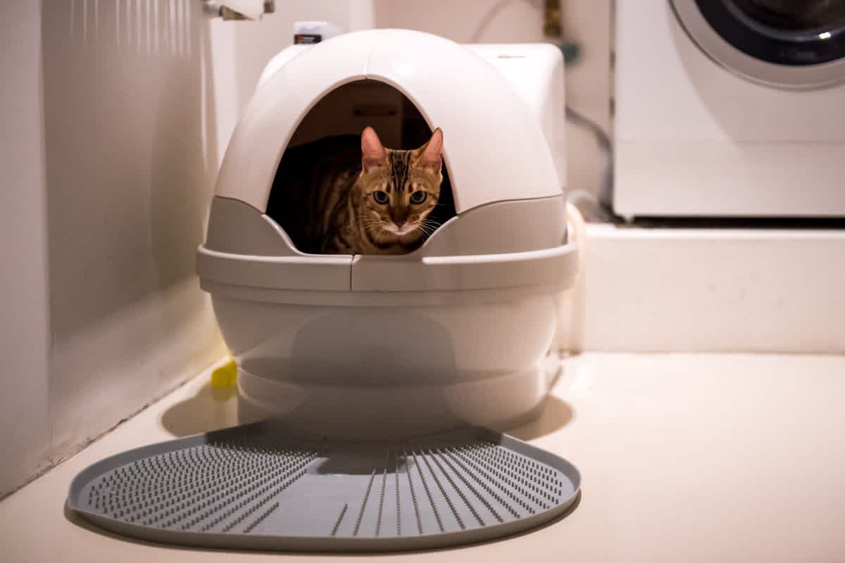 猫用全自動トイレ