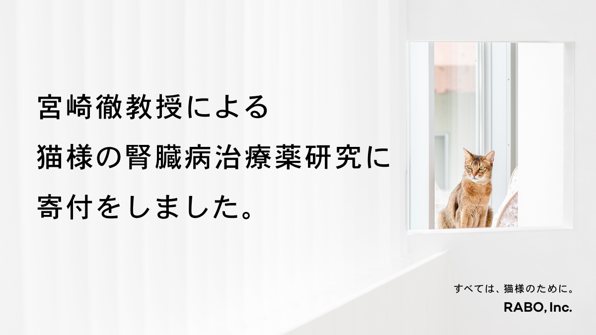 東京大学の宮崎徹教授による猫様の腎臓病治療薬研究へ寄付を行いました Catlog