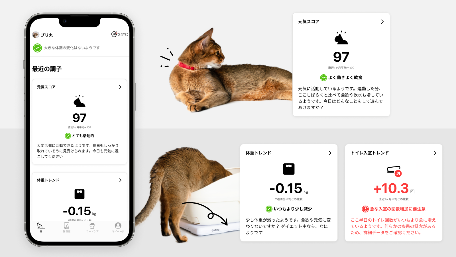 猫様の調子を「スコア」で表示