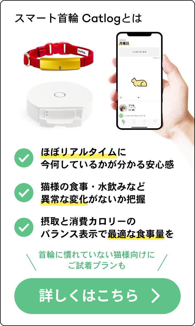 なぜ猫は ふみふみ をするの 行動から愛猫の気持ちを読み取ろう 猫様のいる暮らし