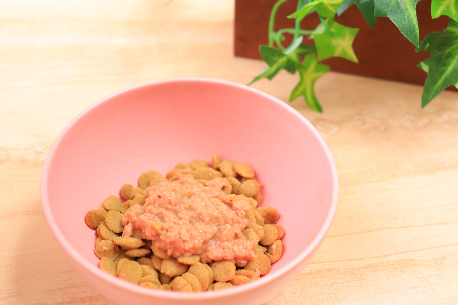 キャットフード