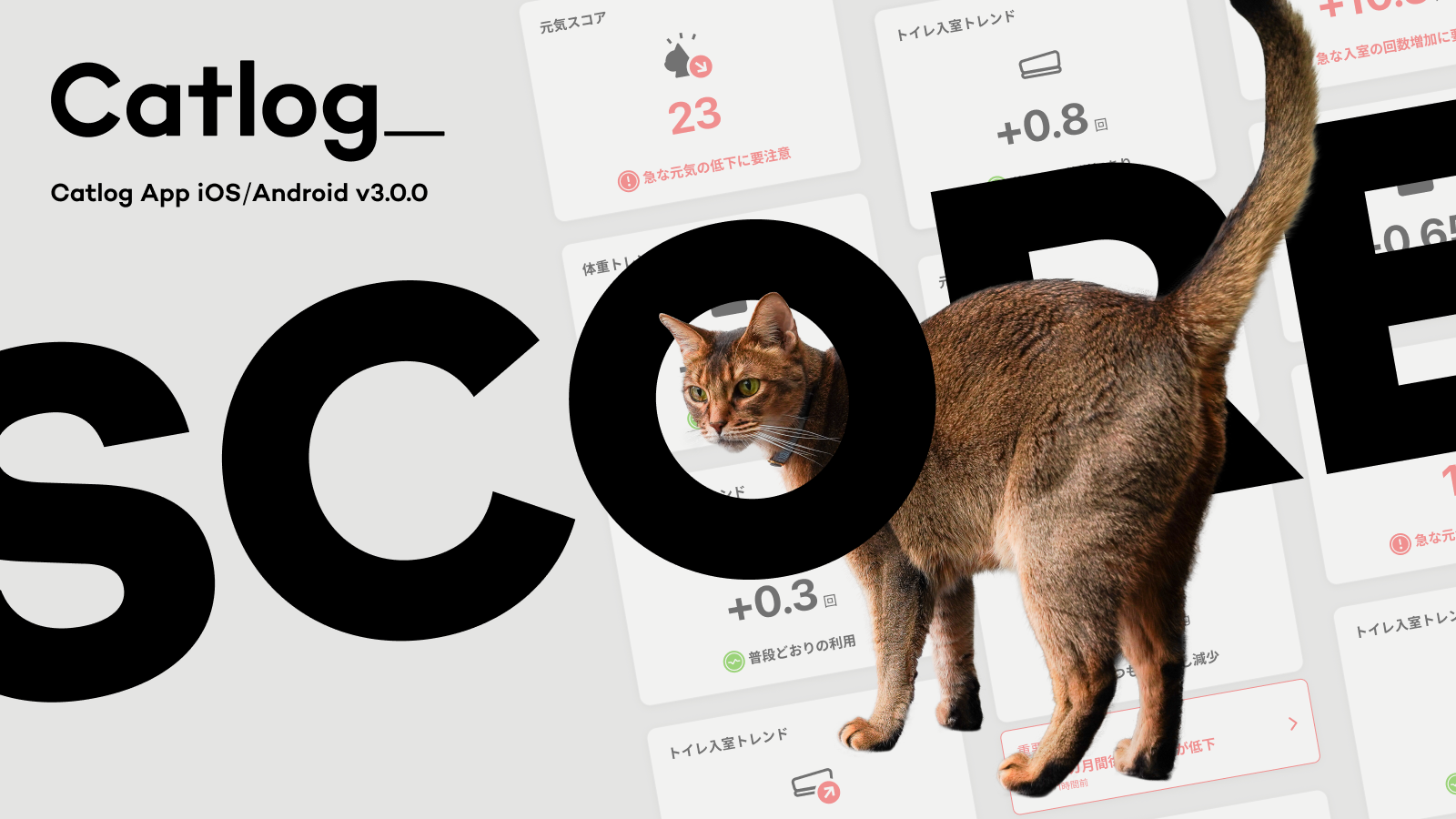 Catlog®︎に愛猫のコンディションが３秒でわかる『スコア表示』が登場！データから「元気スコア」など、最新の猫様の調子がわかるように。