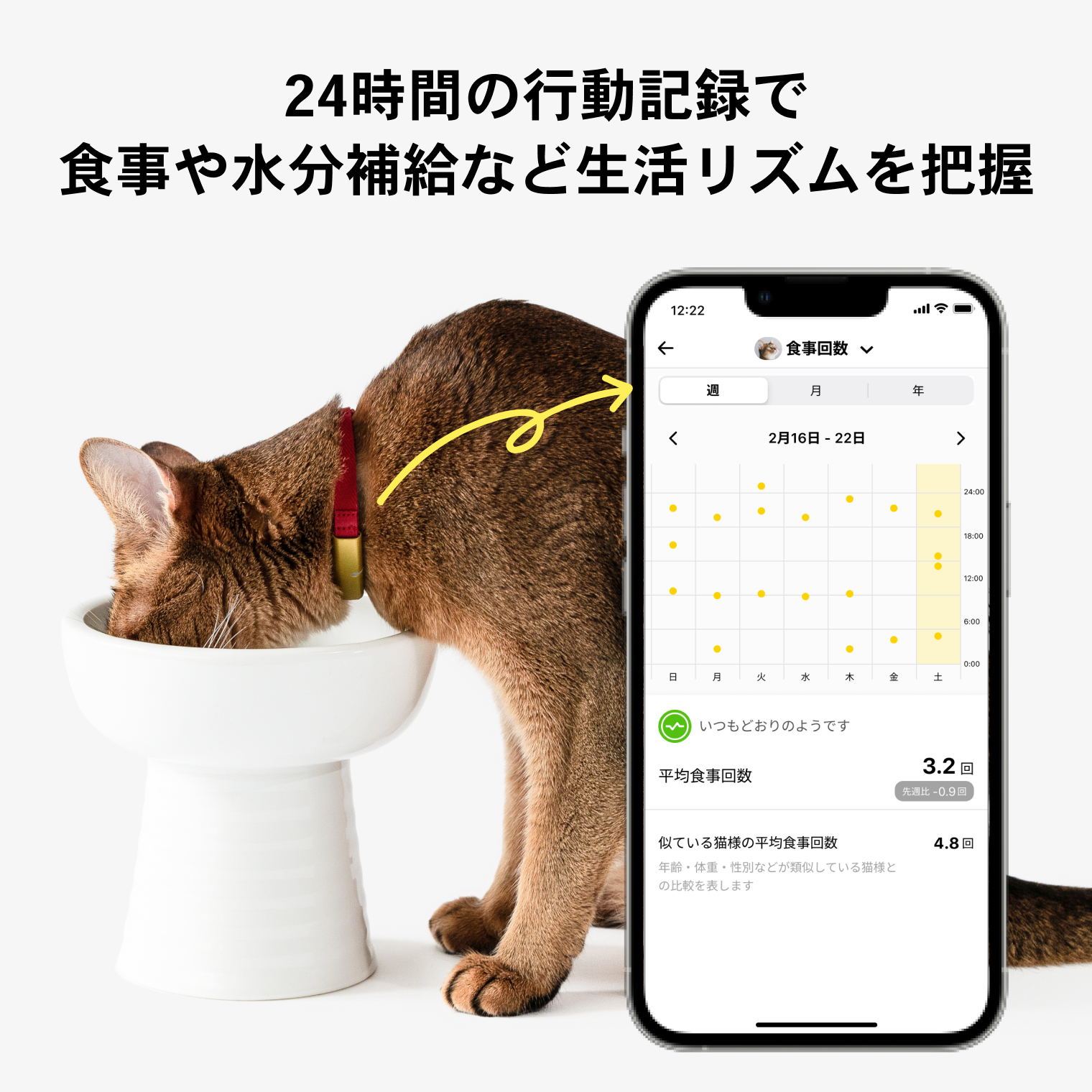 販売済み 猫の首輪 緩めだと じぶんではずす