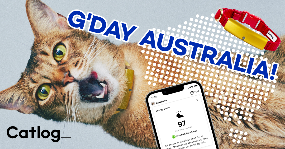 Catlog, Purrfect Health Tracker Loved by Over 50,000 Cats, Brings mee-AI-ow Tech to Australia for Early Detection and Peace of Mind