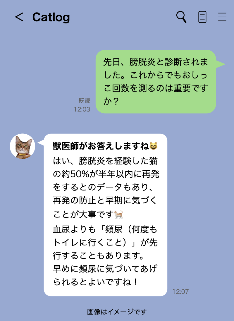 猫がトイレに行かない原因とは 病気の可能性と対処法を解説 猫様のいる暮らし