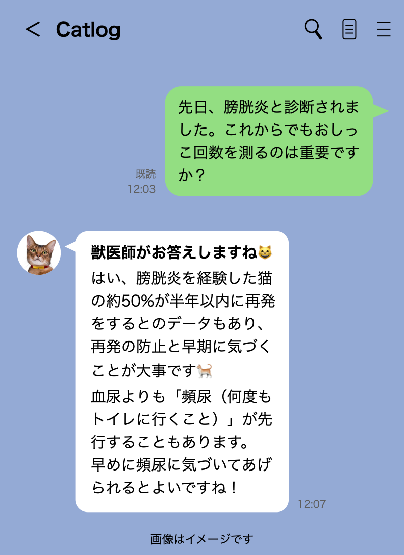 猫の体調に関する獣医師へのLINE無料相談の実際の画面