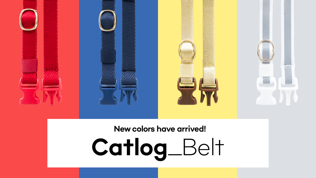 Catlog Beltに新カラー & 新素材が登場!サイズ展開も6種類に!LLサイズも加わり、より多くの猫様にぴったりの首輪をお選びいただけるようになりました!
