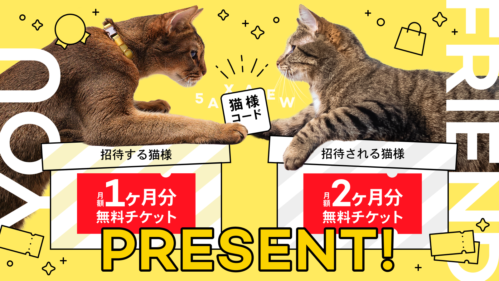 Catlog®︎に猫様を招待できる『猫様コード』がパワーアップ★招待する猫様は1ヶ月分、招待される猫様は2ヶ月分、月額の猫様メンバーシップ料金が無料に！本日開始の猫の日キャンペーンより適用ᗢᘏᓗ