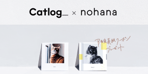 『Catlog®(キャトログ)』と、家族向けフォトブック作成アプリ『ノハナ』がコラボキャンペーンを開始!Catlogオリジナル表紙デザインのフォトブックが1冊無料に。