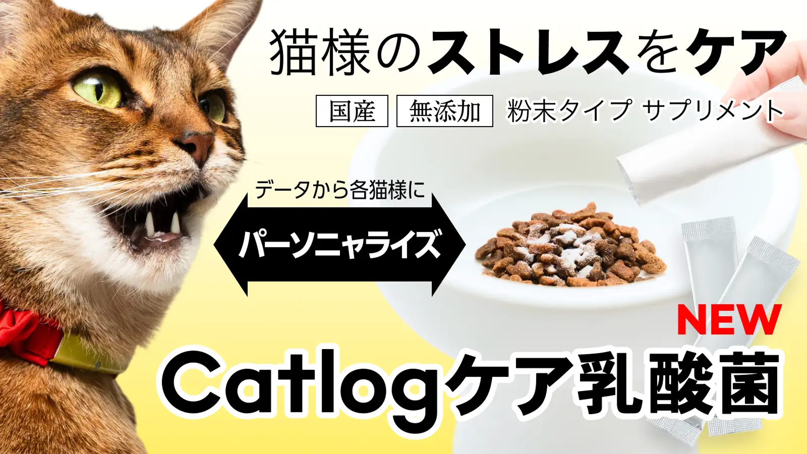 Catlog®、猫様のストレスをケアするために、Catlogデータから各猫様にパーソニャライズされた特許出願中の乳酸菌サプリメント『Catlogケア乳酸菌』を販売開始!