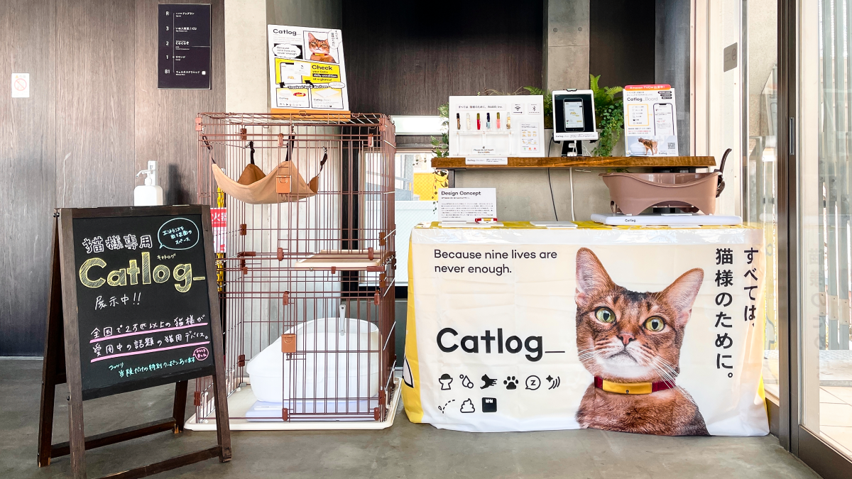 日本動物医療センターで、Catlogシリーズの展示会を開催中! ぜひお立ち寄りください🐱