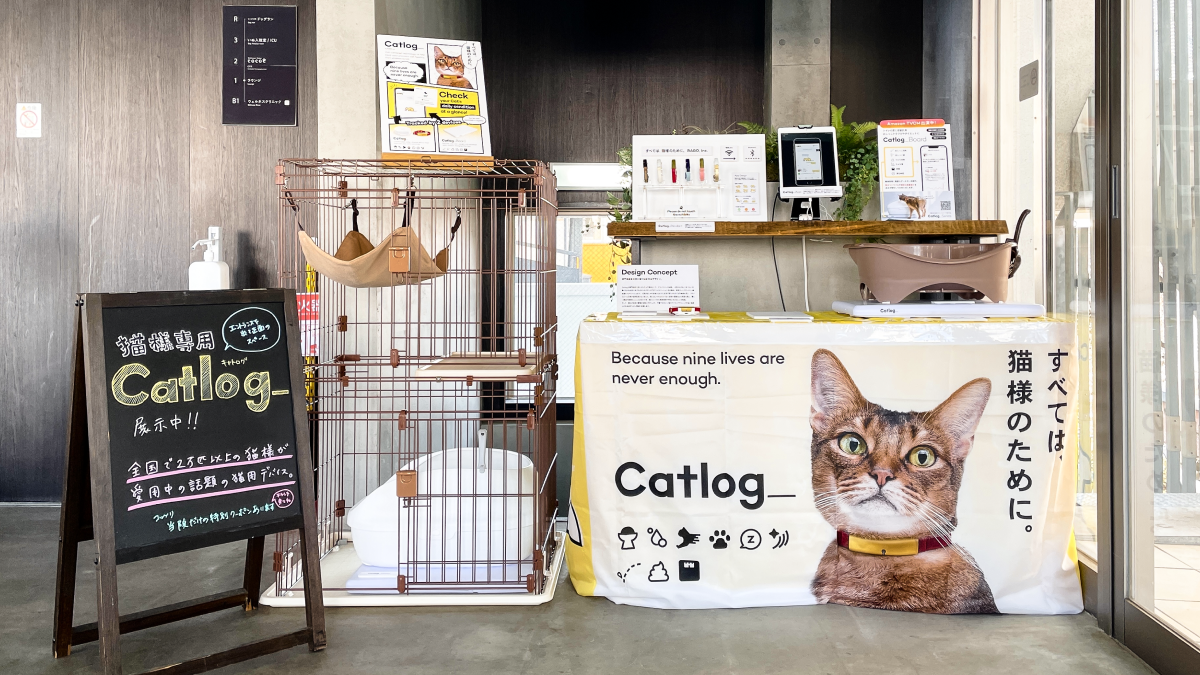 日本動物医療センターで、Catlogシリーズの展示会を開催中！ ぜひお立ち寄りください🐱