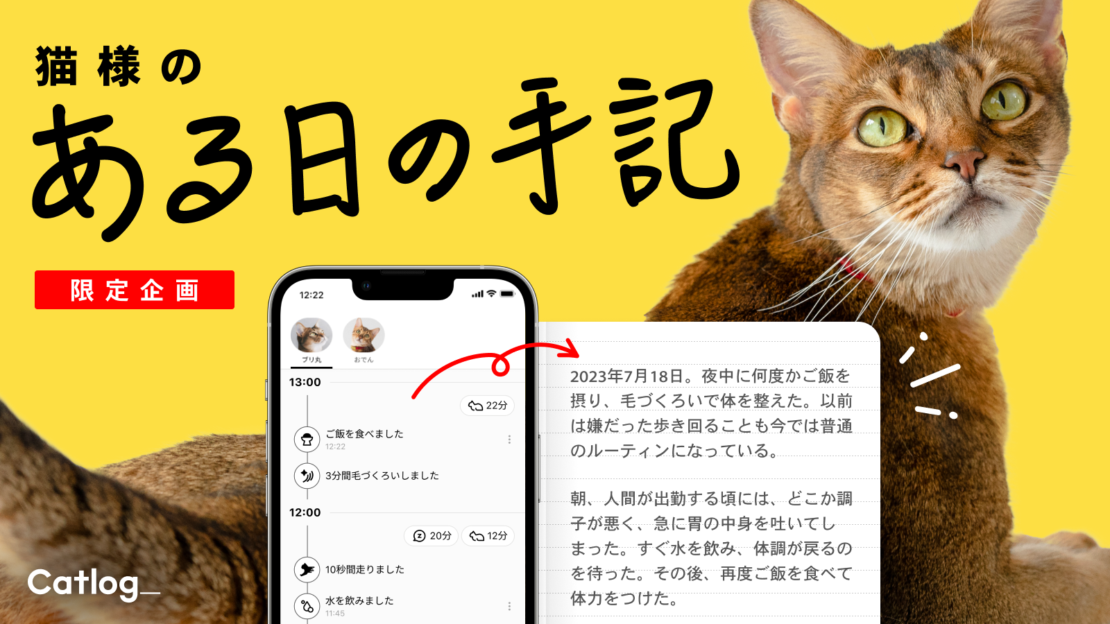 Catlog®のデータが猫様からの日記に!猫様から飼い主さんにあてた『猫様のある日の手記』が届きます(ΦωΦ)